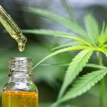 Everything about CBD Oil – Why and How to Use It